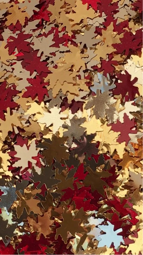 Fall Leaves of Autumn