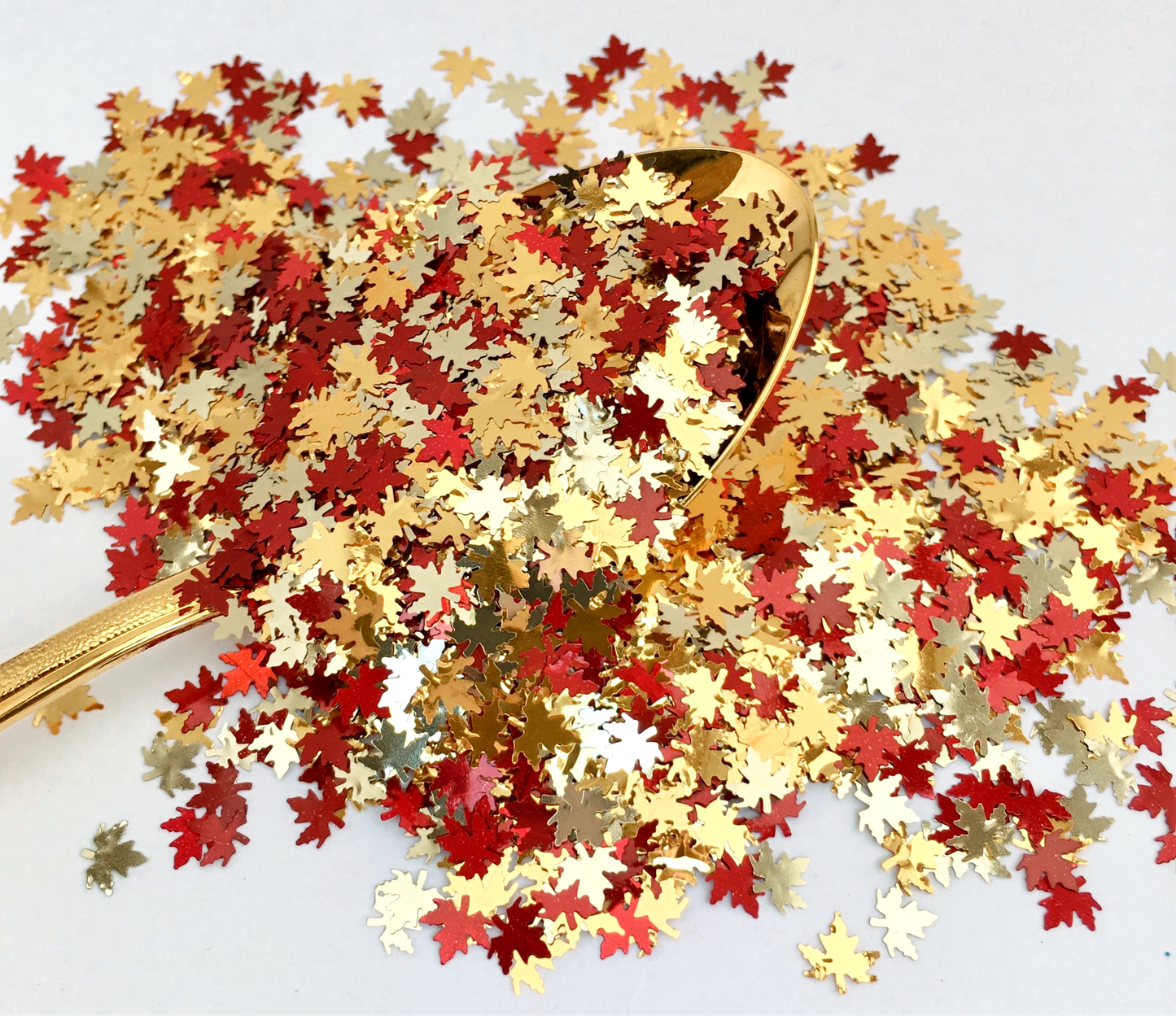 Fall Leaves of Autumn